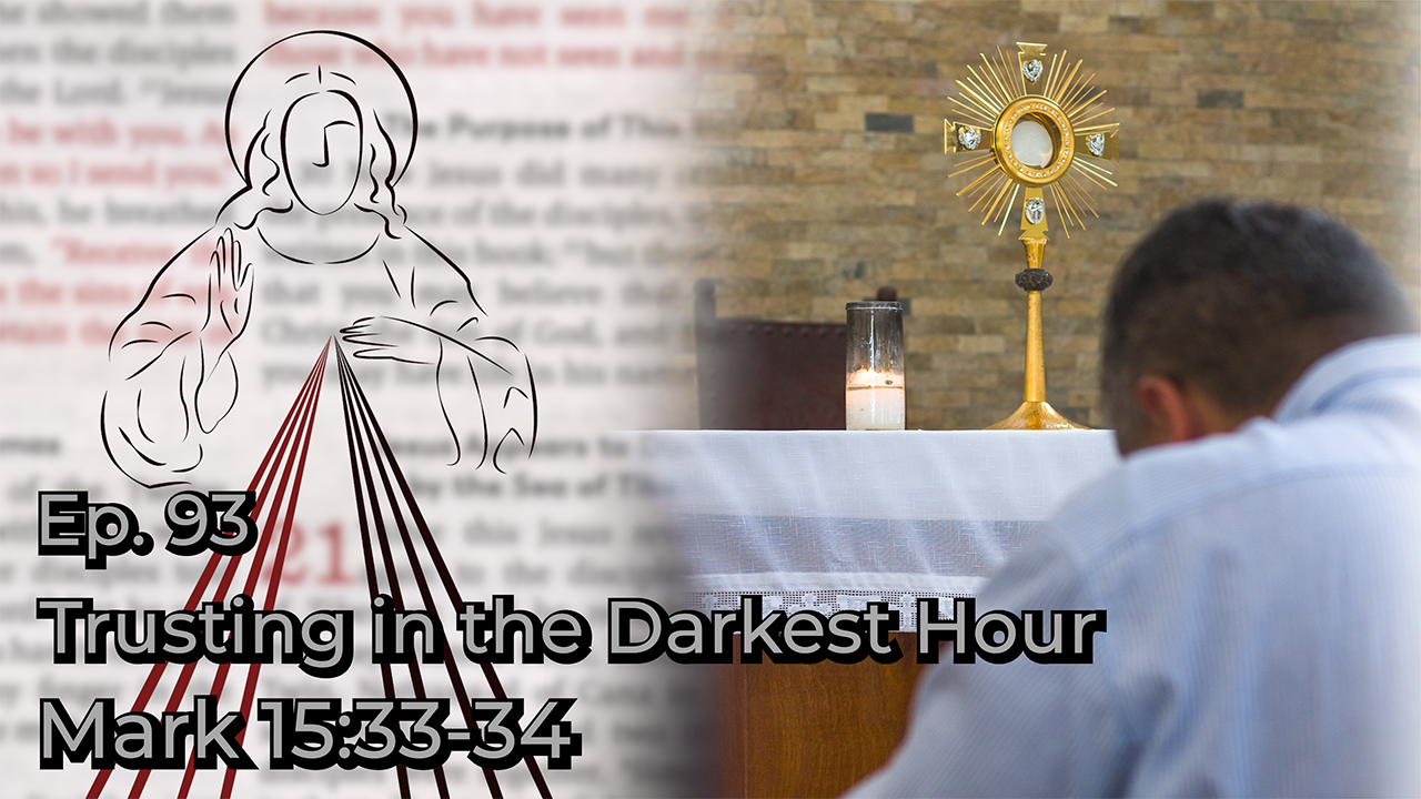 Trusting in the Darkest Hour Divine Mercy Plus(00)