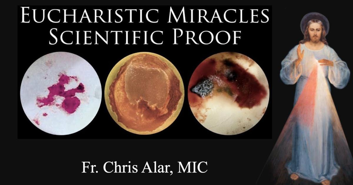 Miracles Graph Eucharistic Miracles: Scientific Proof | Divine Mercy Plus