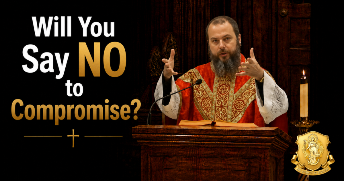 No Compromise: St. Maximilian Kolbe and the Courage to Evangelize ...